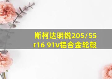 斯柯达明锐205/55r16 91v铝合金轮毂